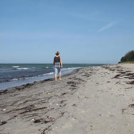 Jolle * Groß Schwansee